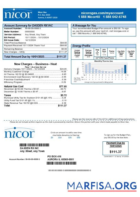 Downloadable USA Illinois Nicor gas business utility bill template in Word and PDF formats